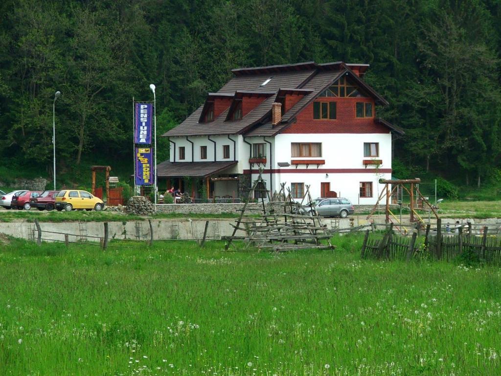 Pensiunea Trei Ponei Corbeni Exterior photo