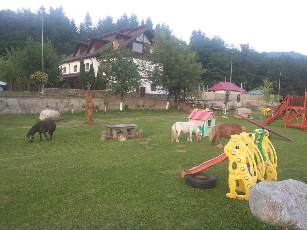 Pensiunea Trei Ponei Corbeni Exterior photo