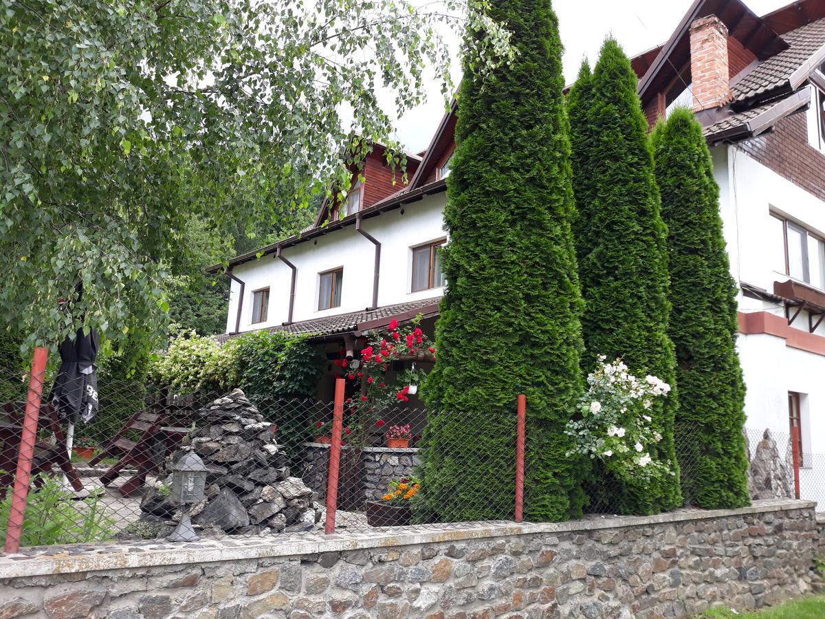 Pensiunea Trei Ponei Corbeni Exterior photo