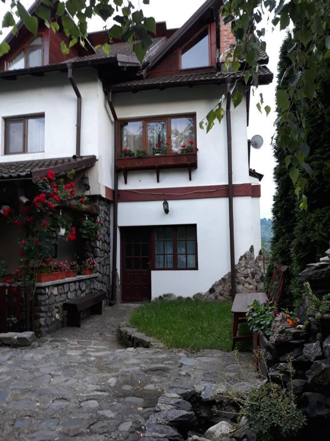 Pensiunea Trei Ponei Corbeni Exterior photo