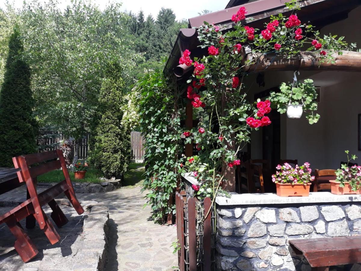 Pensiunea Trei Ponei Corbeni Exterior photo